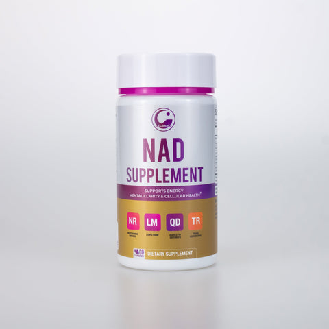 Legrano NAD Supplement bottle front view on gray background — 60 capsules with NR, Lion's Mane, Quercetin and Trans-Resveratrol