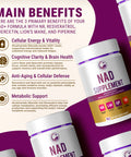 Legrano NAD Supplement main benefits — cellular energy and vitality, cognitive clarity and brain health, anti-aging and cellular defense, metabolic support